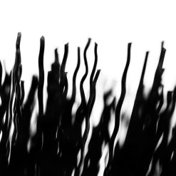 Muc-Off Tyre & Cassette Brush -Fahrradausrüstung 59203798 05dGUdIdb2ZRGHv 1280x1280